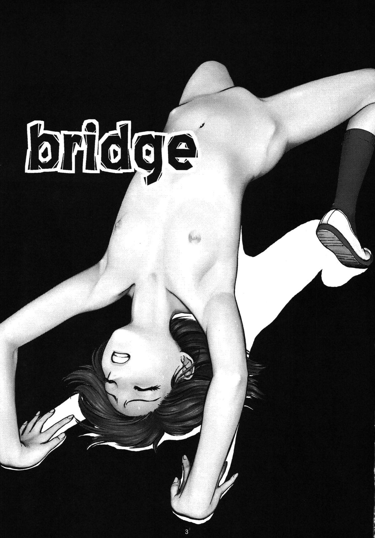 Milk Bridge Doggystyle Porn - Picture 3