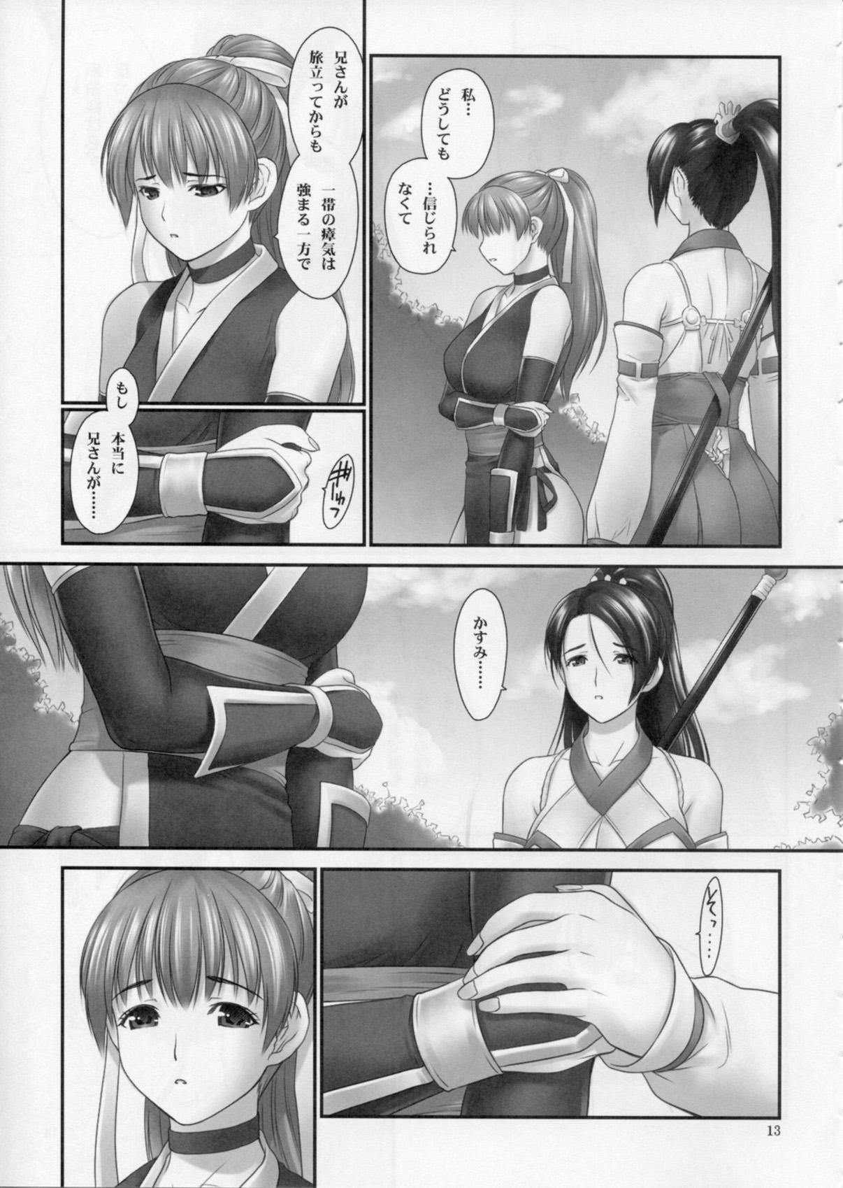 Muslim Toukiden Vol.2 - Dead or alive Ninja gaiden Maid - Page 12