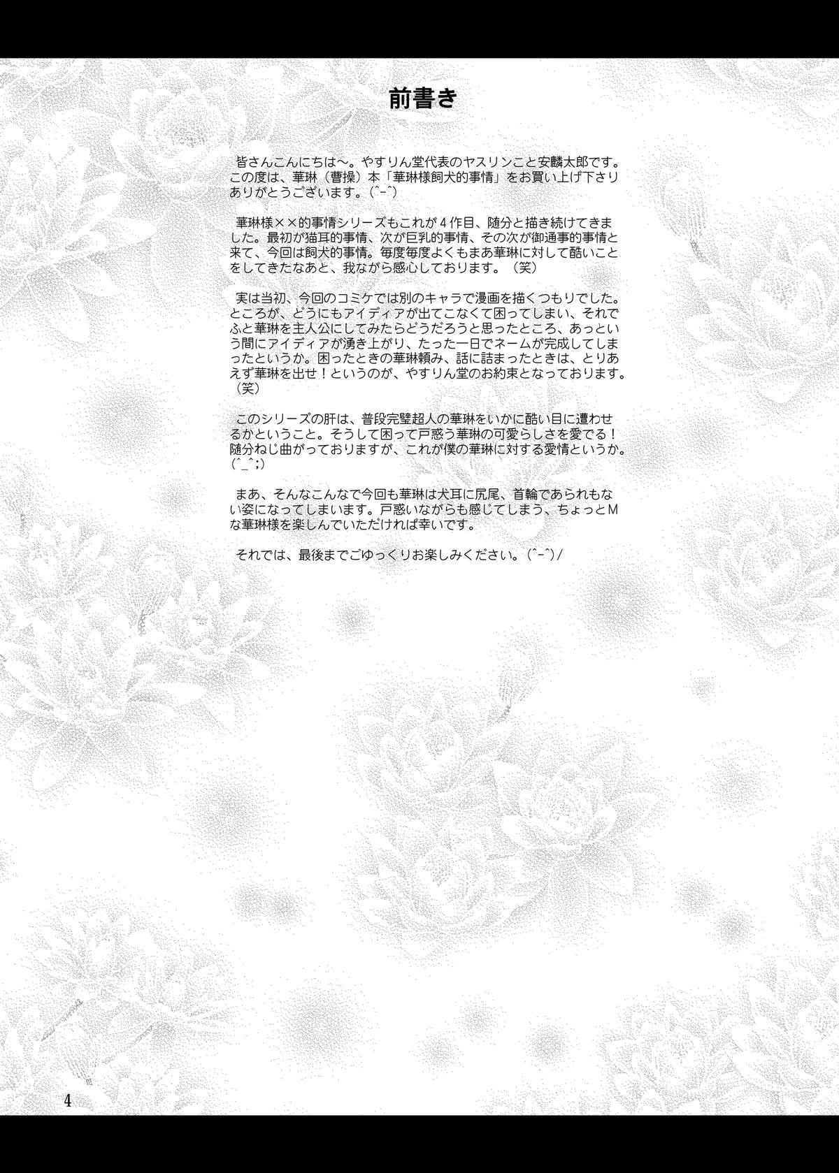 Punheta Karin-sama Kaiinuteki Jijou - Koihime musou Gaydudes - Page 3