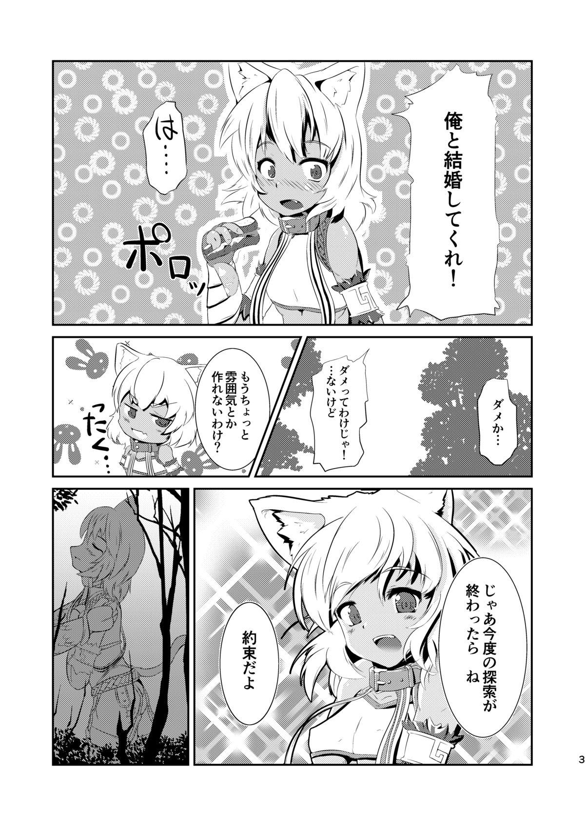 Sensual Daniku no Nukarumi Cavala - Page 3
