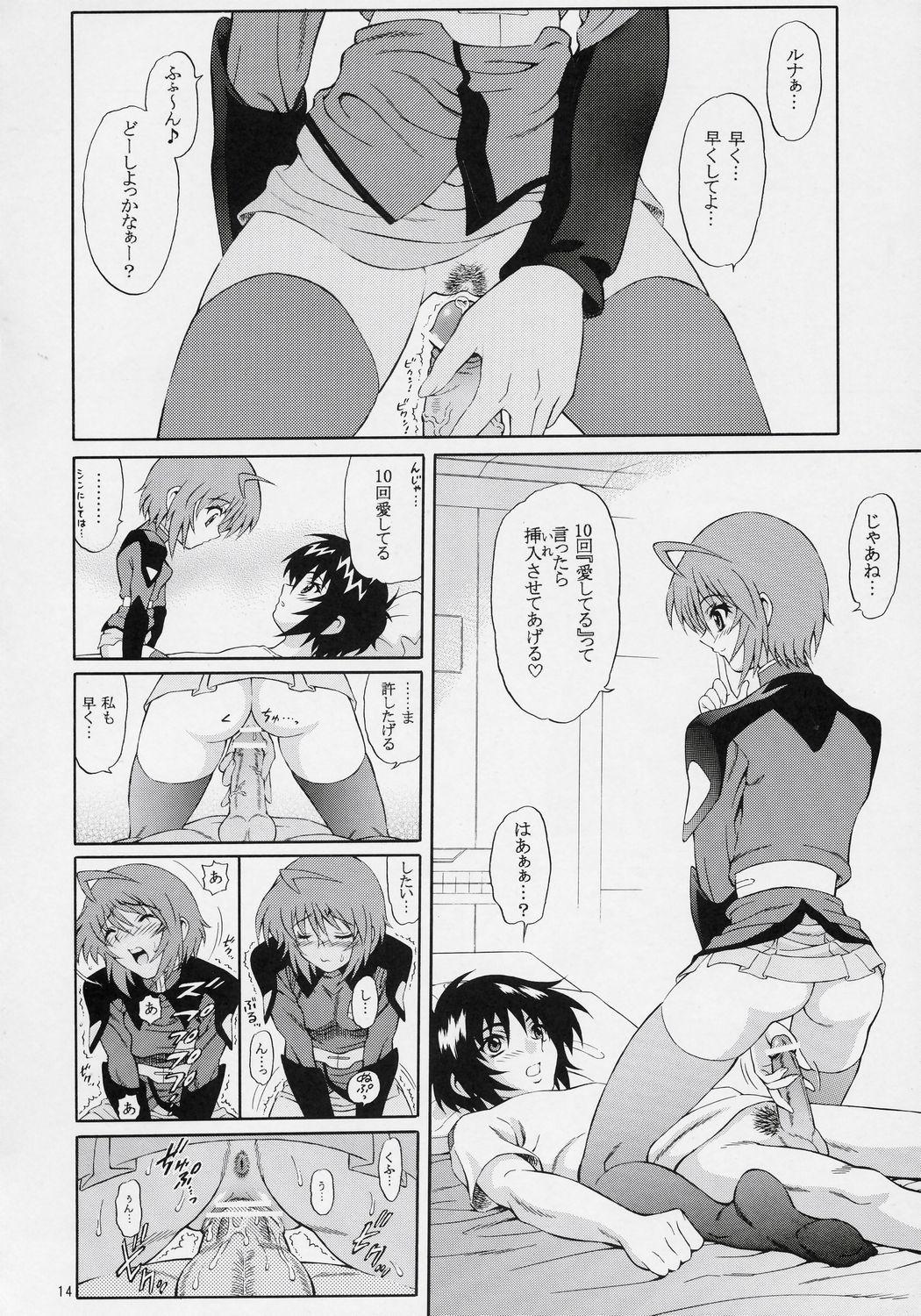 Redbone Burning!! 03 - Gundam seed destiny Cum Swallow - Page 13