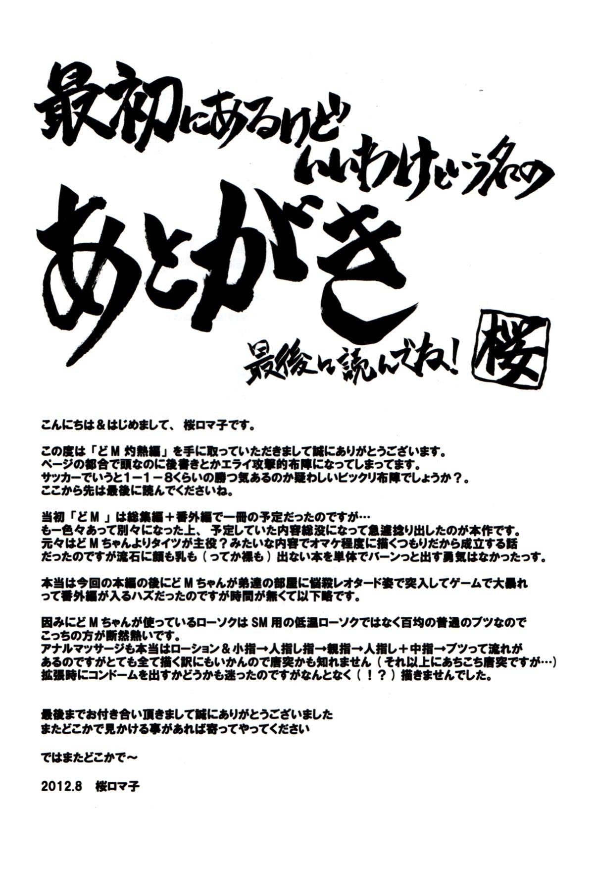 Casero Do M Nandesukedo Nanika Shakunetsuhen Gilf - Page 3