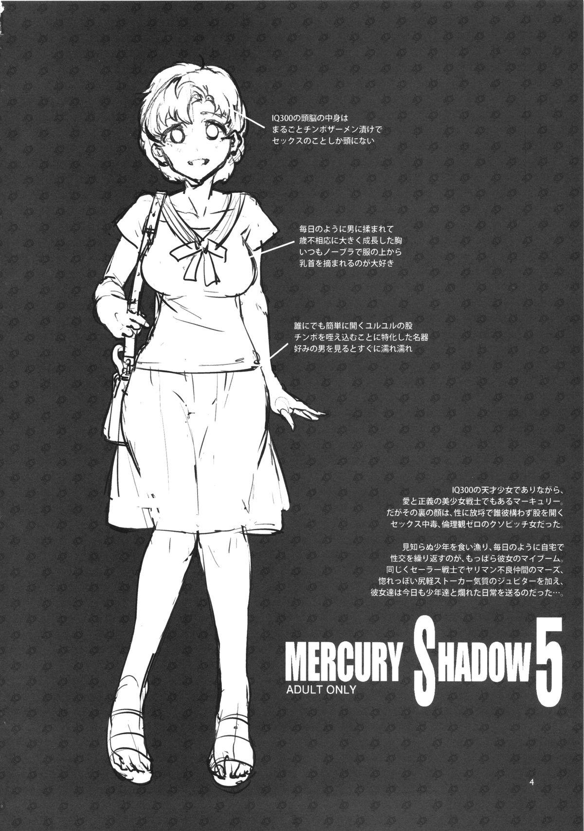 E:(C86) [Alice no Takarabako (Mizuryu Kei)] MERCURY SHADOW5 (Sailor Moon) 2
