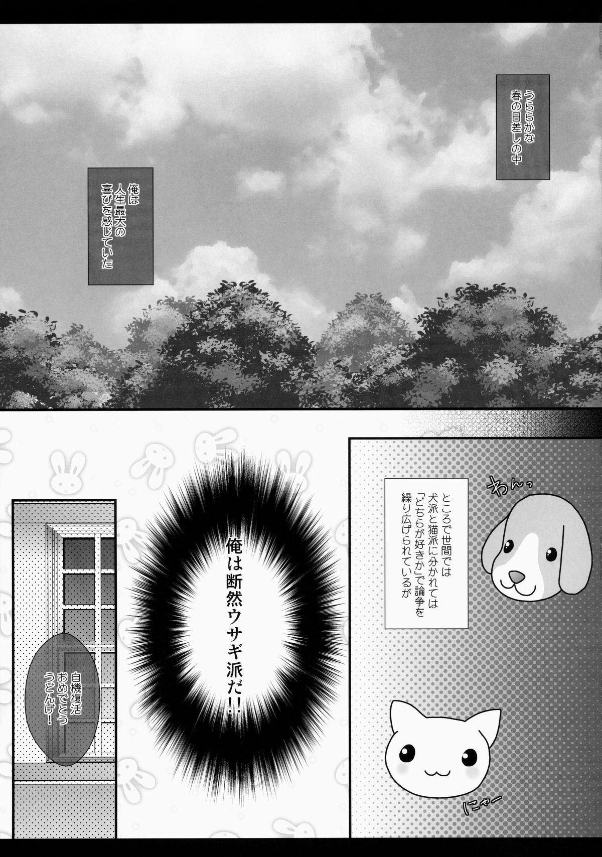 Macho Ore no Kawai Betto ga Jikifukkatsu to Kiite xxxxx ga Tomaranai - Touhou project Cock Sucking - Page 5