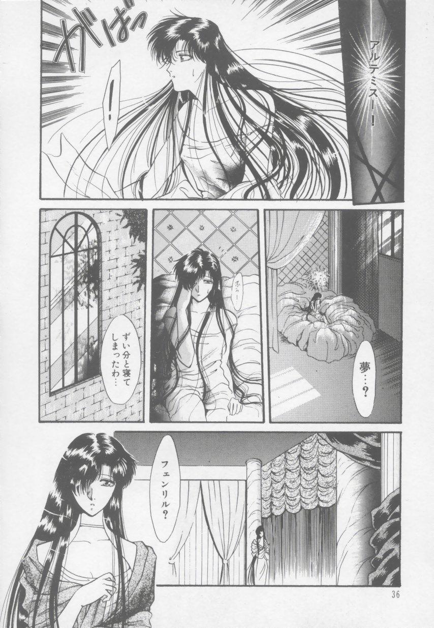 Artemis no Yakata  Vol.1 41