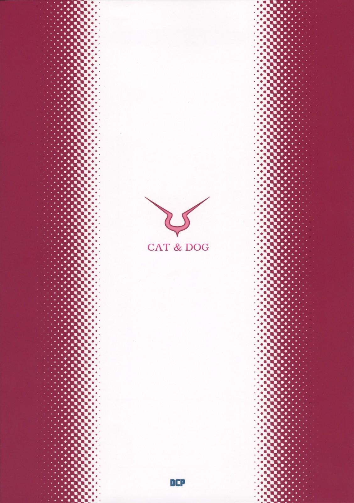 CAT&DOG 25