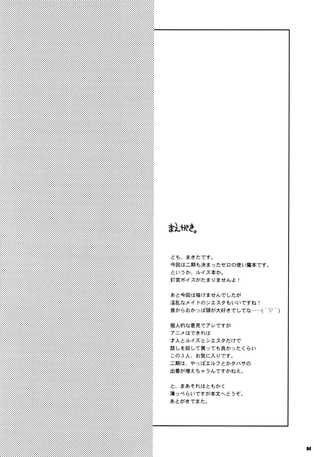 Piss Still of the Night!! - Zero no tsukaima Masturbando - Page 3