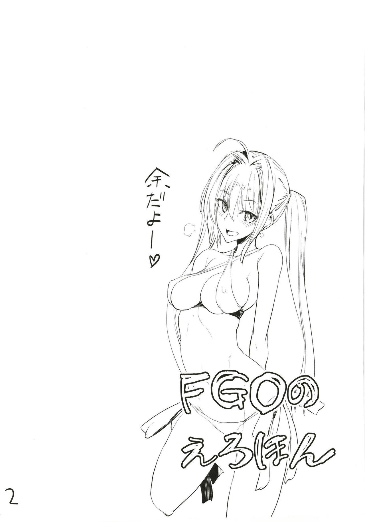FGO no Erohon 3