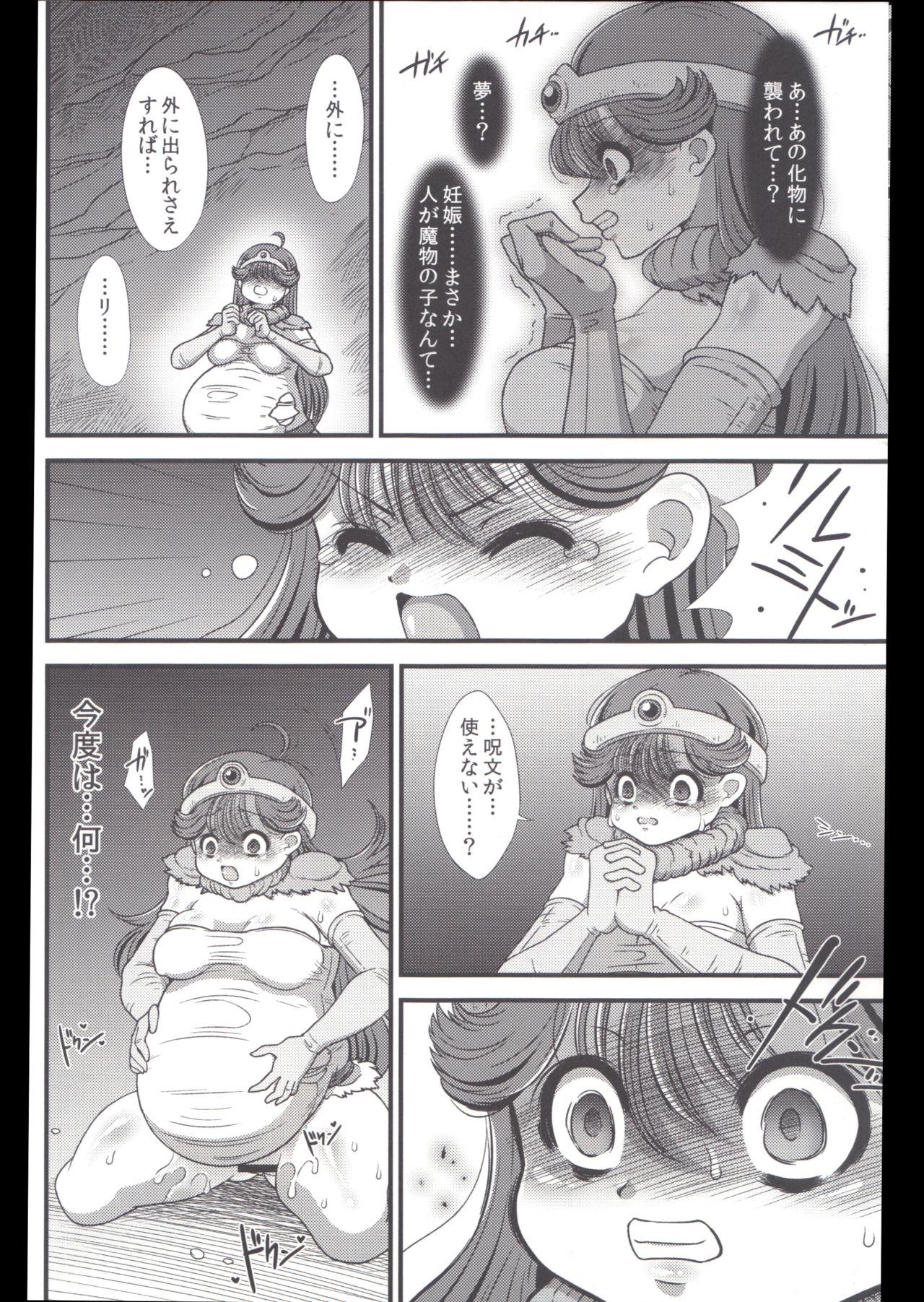 Bisex Toro Ana - Dragon quest iii Sister - Page 5
