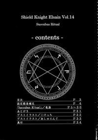 Shield Knight Elsain Vol. 14 "Succubus Ritual" 3