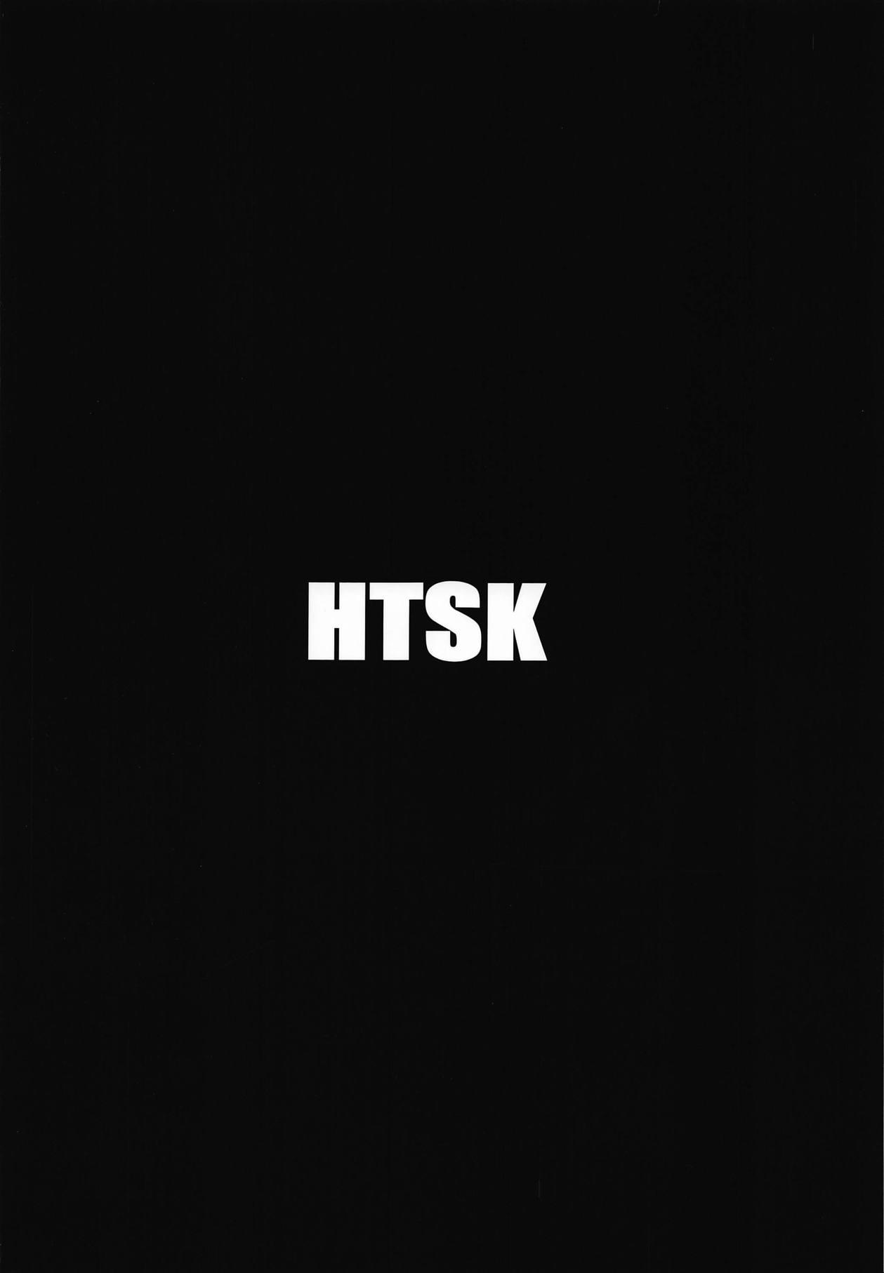 HTSK9.5 17