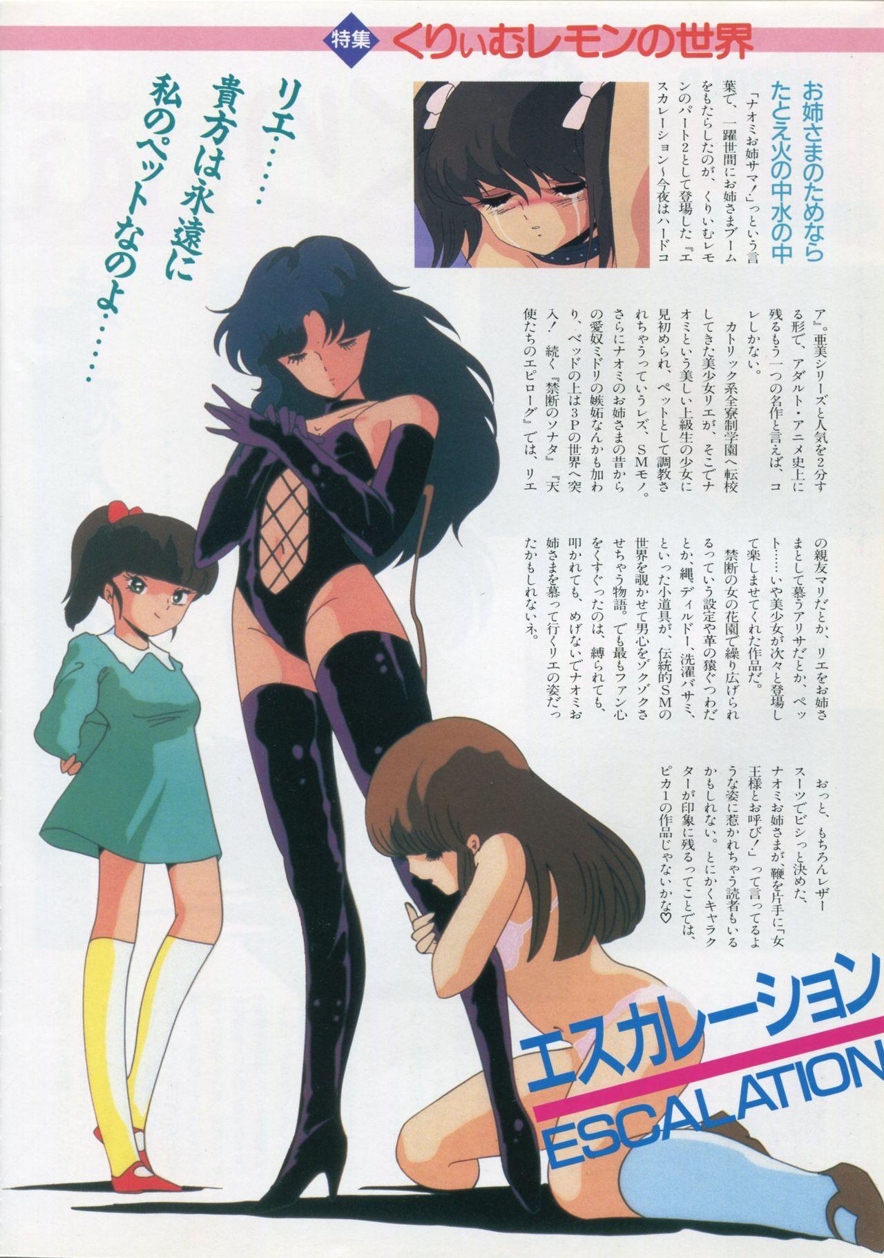 Bishoujo Anime Daizenshuu - Adult Animation Video Catalog 1991 13