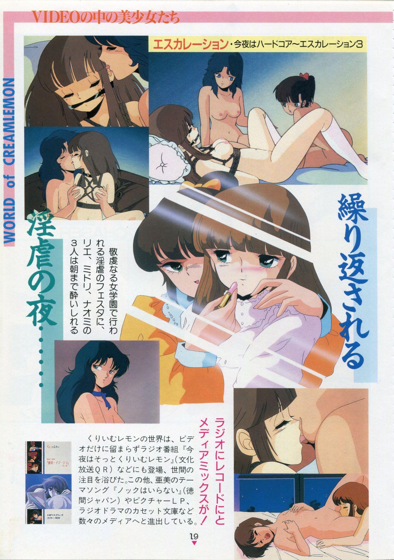 Bishoujo Anime Daizenshuu - Adult Animation Video Catalog 1991 14