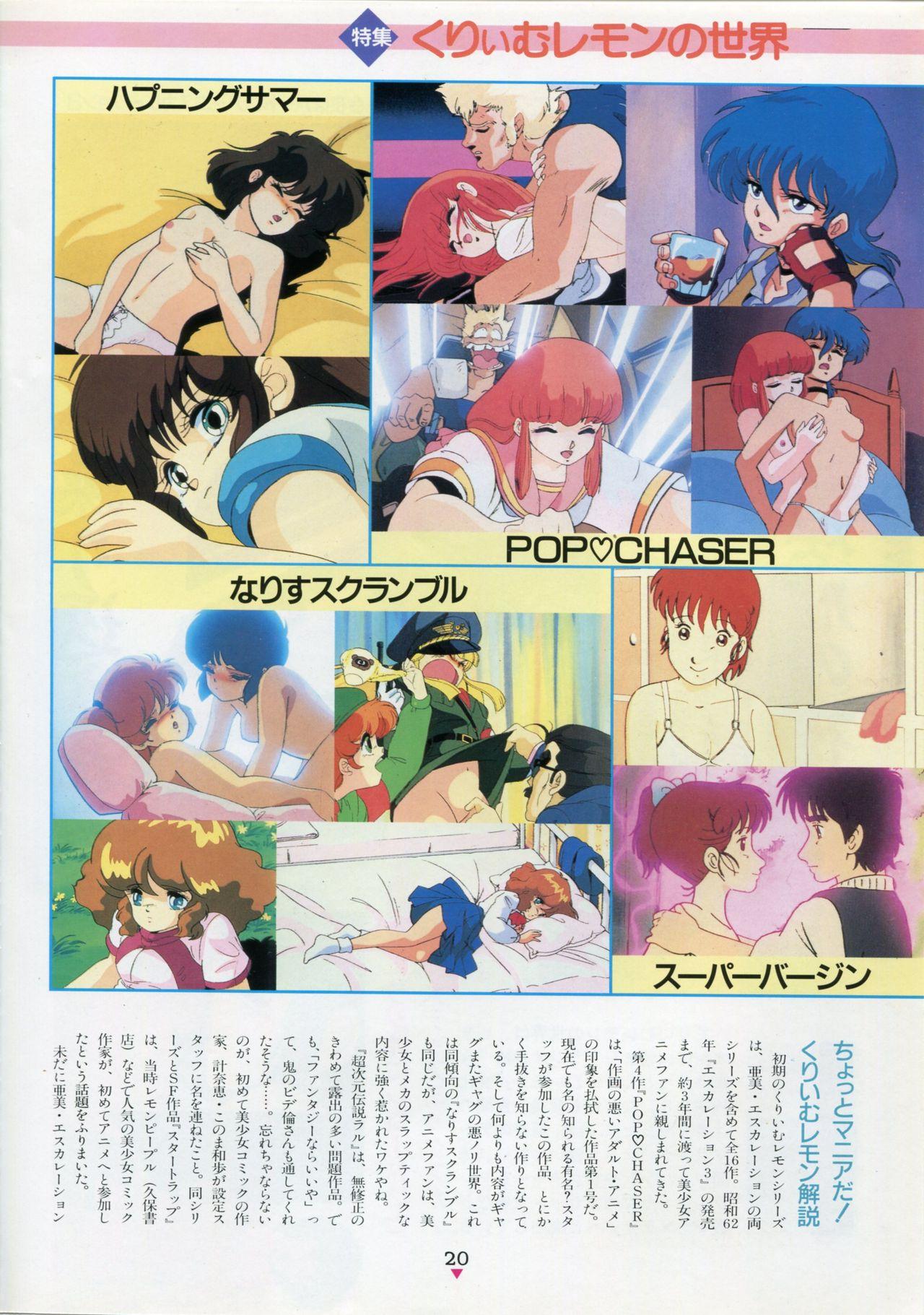 Bishoujo Anime Daizenshuu - Adult Animation Video Catalog 1991 15