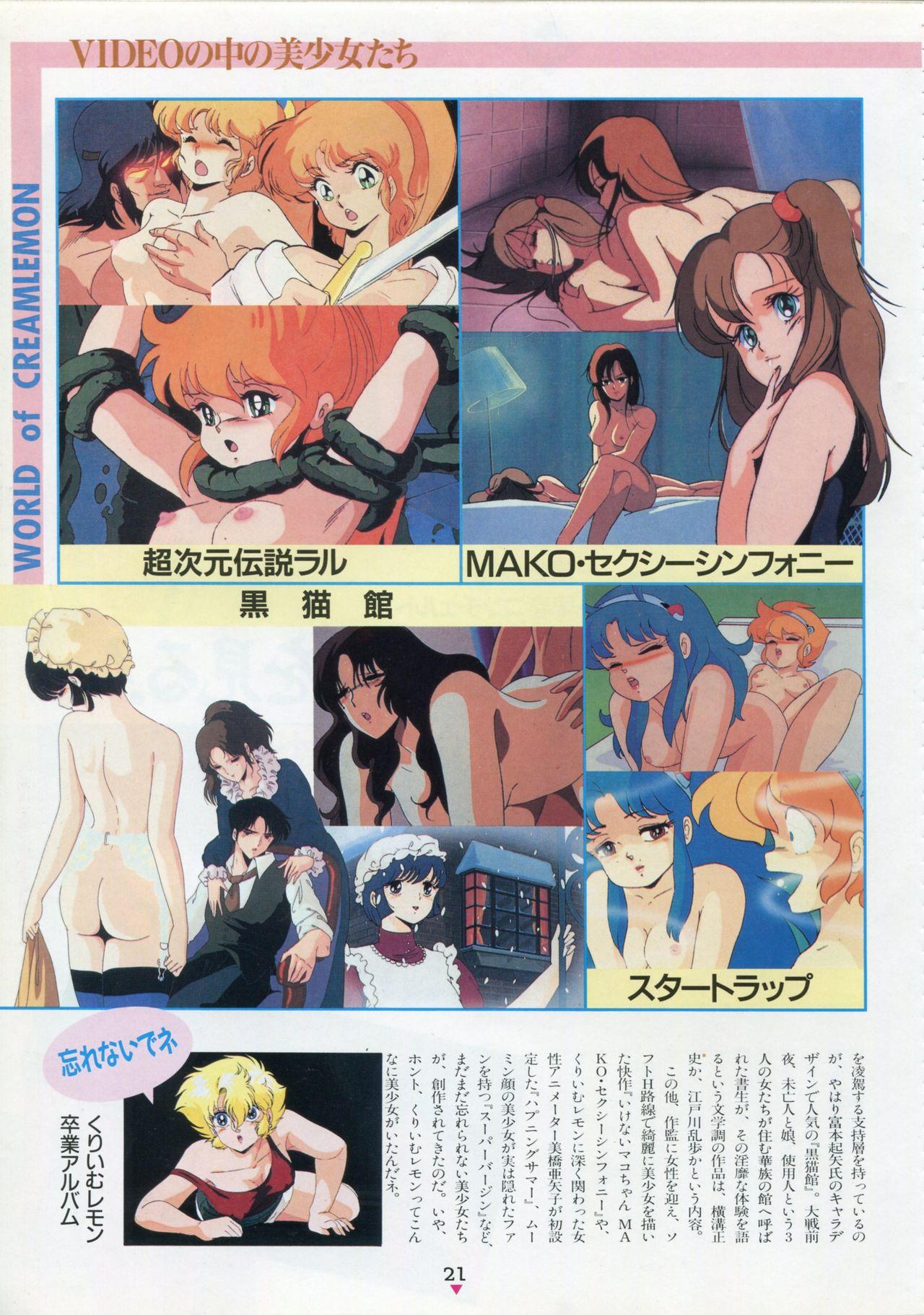 Bishoujo Anime Daizenshuu - Adult Animation Video Catalog 1991 16