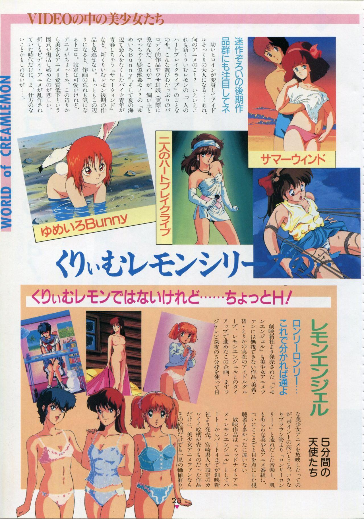 Bishoujo Anime Daizenshuu - Adult Animation Video Catalog 1991 18