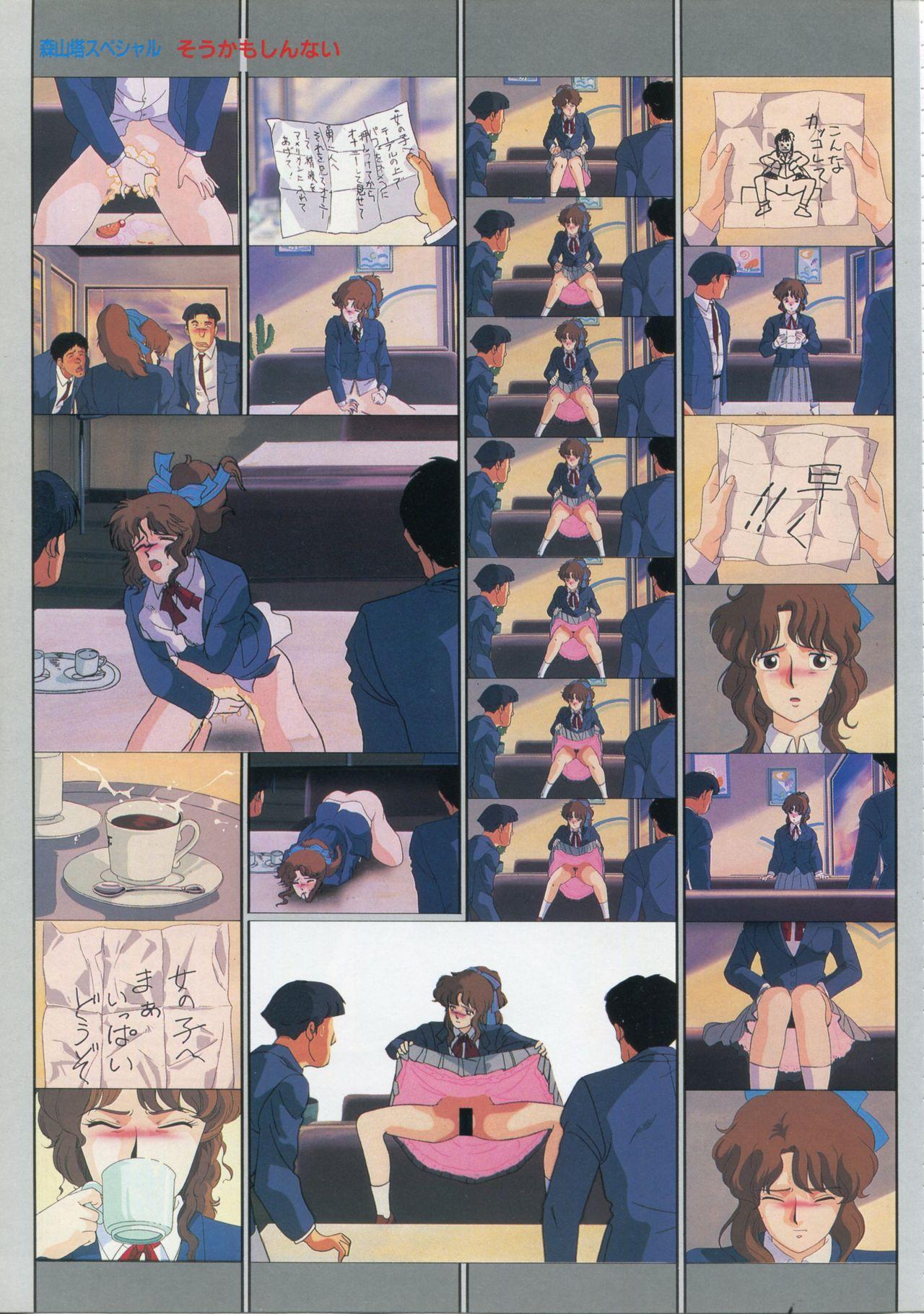 Bishoujo Anime Daizenshuu - Adult Animation Video Catalog 1991 30