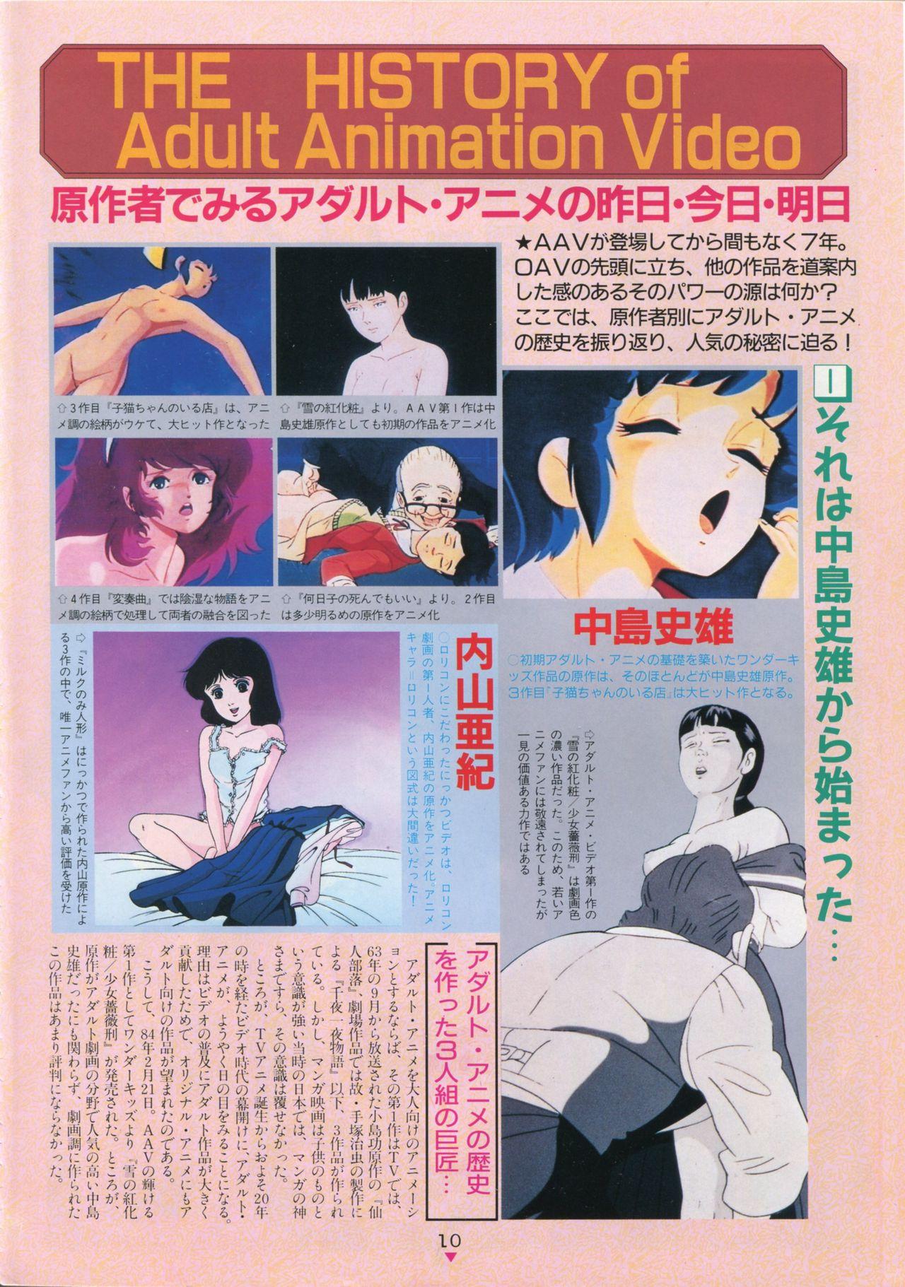 Bishoujo Anime Daizenshuu - Adult Animation Video Catalog 1991 5
