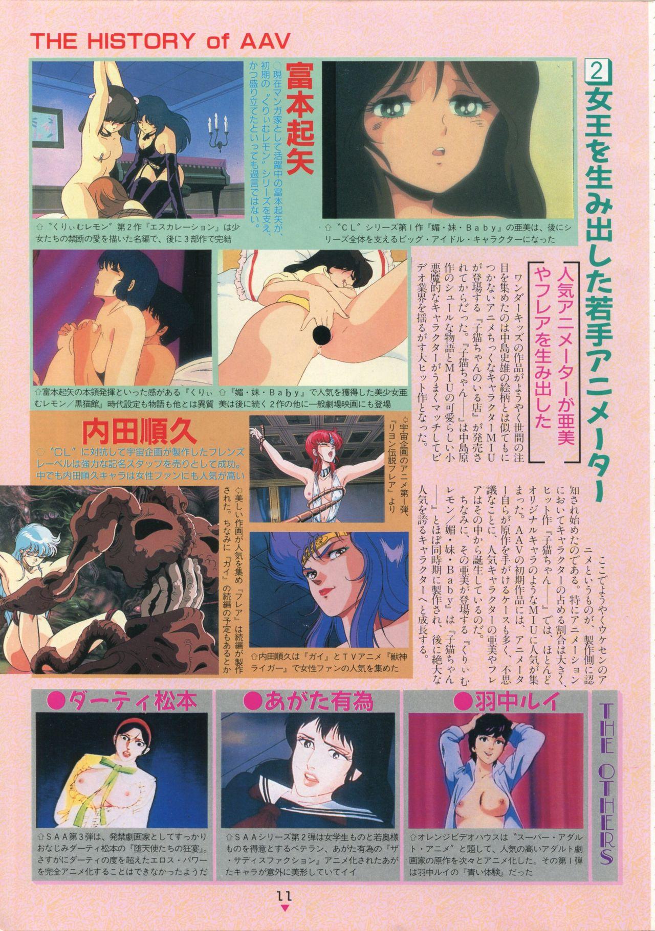 Bishoujo Anime Daizenshuu - Adult Animation Video Catalog 1991 6
