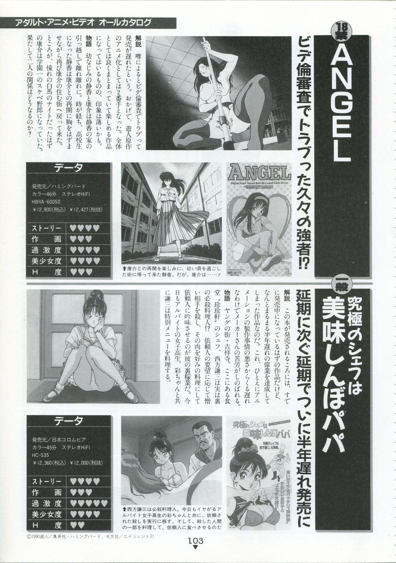 Bishoujo Anime Daizenshuu - Adult Animation Video Catalog 1991 98