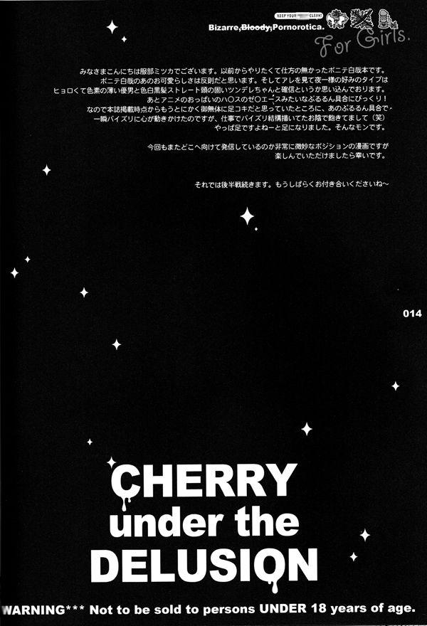 CHERRY under the DELUSION 13