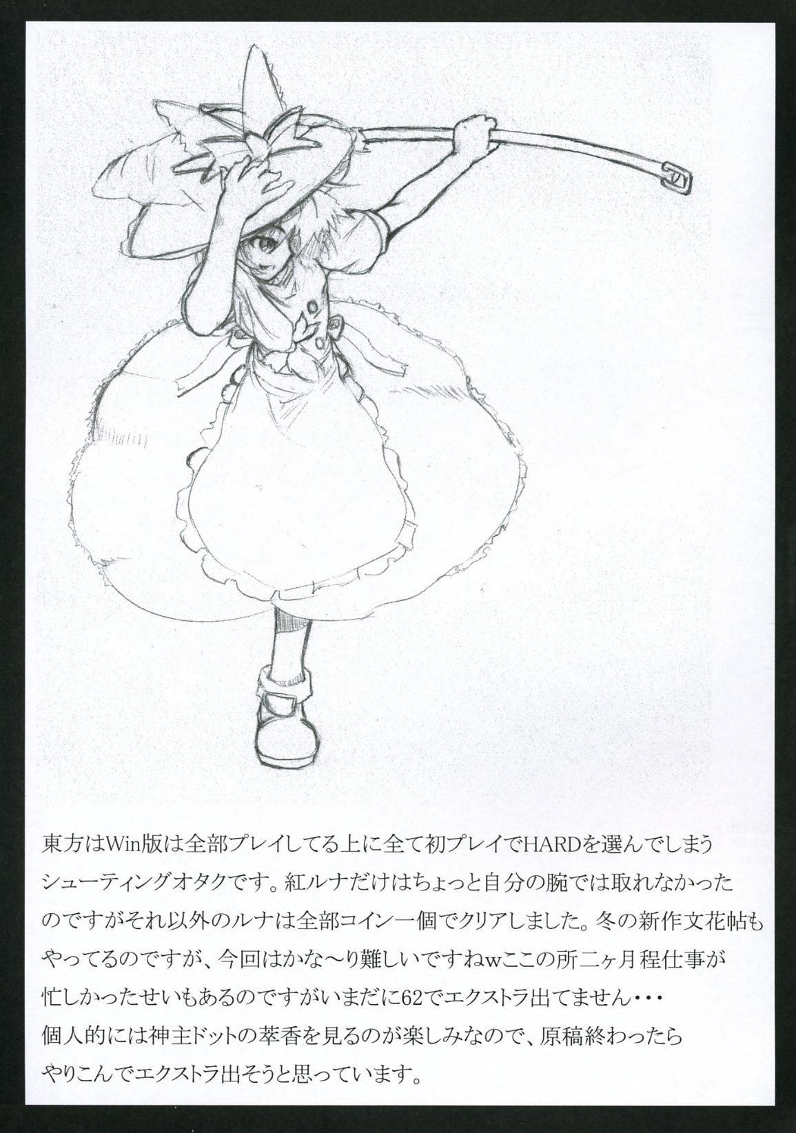 Touhou Reverse Vector Book, Falling to Earth 16