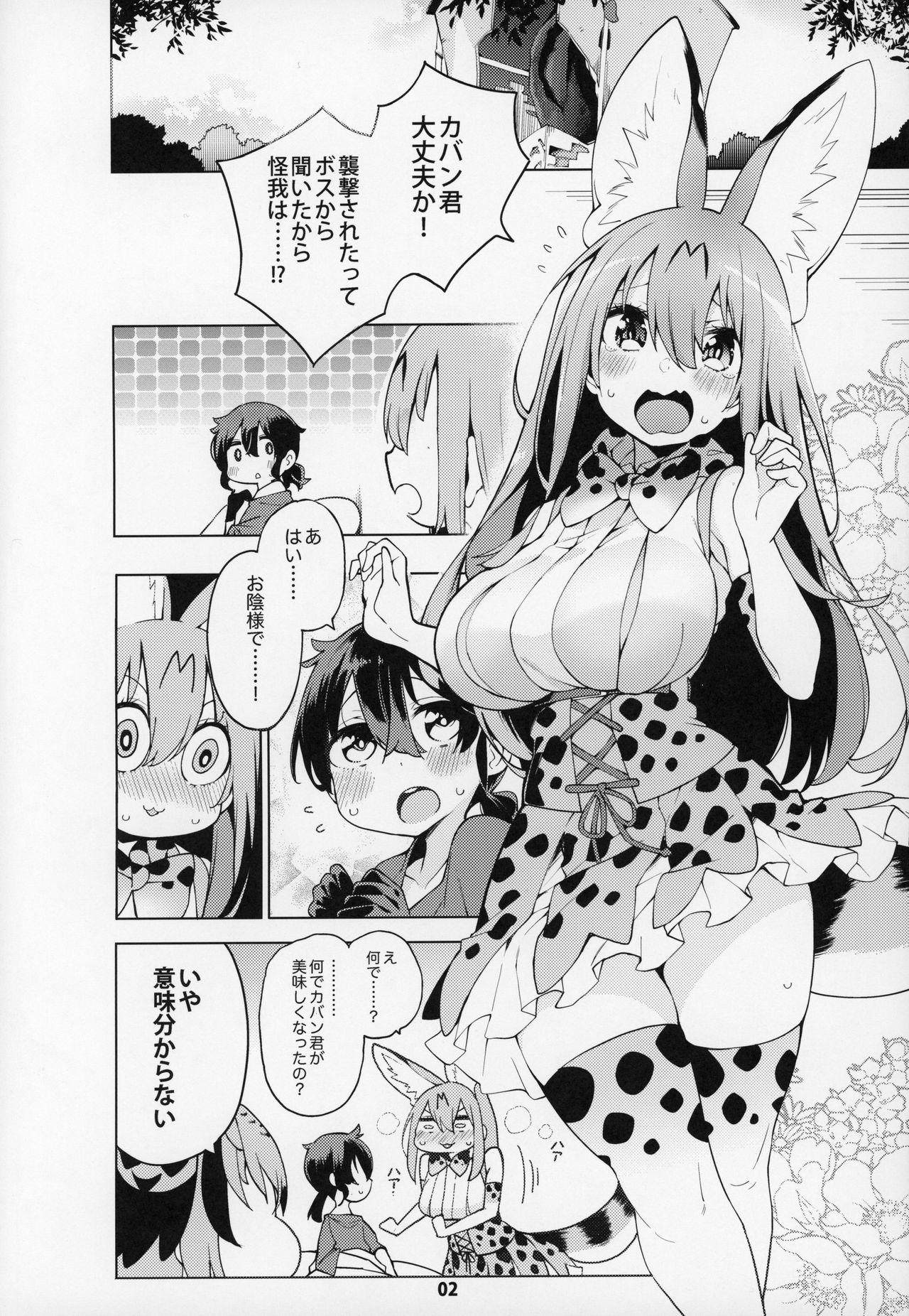 Hard Porn Miwaku no Serval Nee-san - Kemono friends Culote - Page 3
