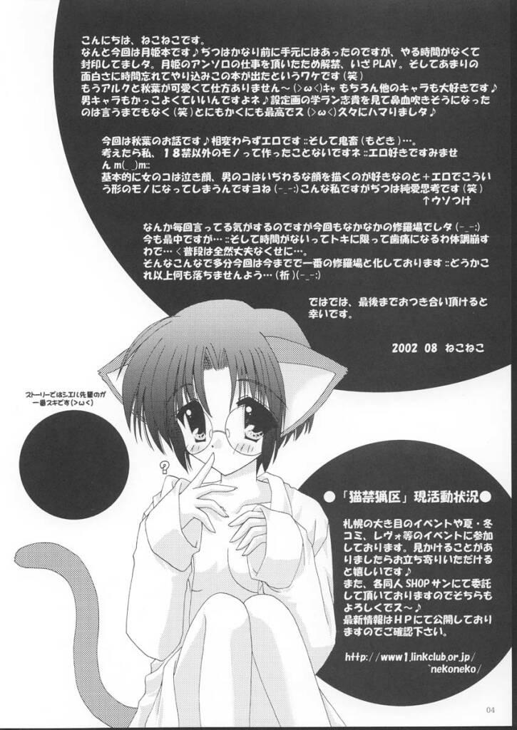Gay Toys Yuugetsu - Tsukihime Party - Page 4
