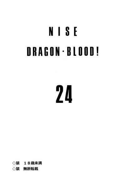 Nise Dragon Blood! 24. 2