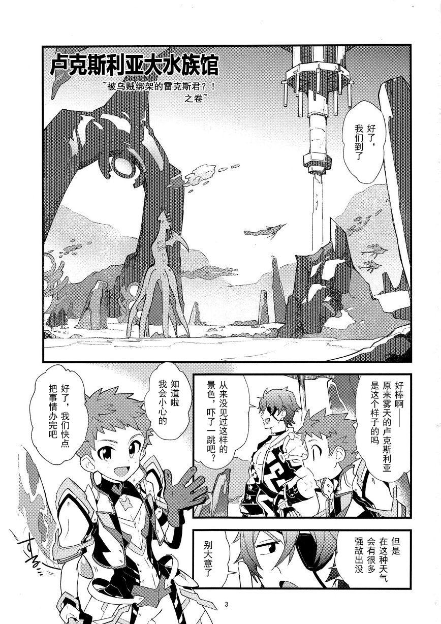Exotic LUXURIUM - Xenoblade chronicles 2 Passionate - Page 3