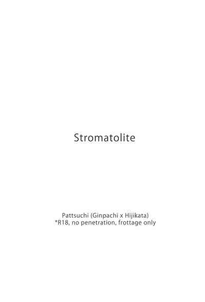 Stromatolite 2