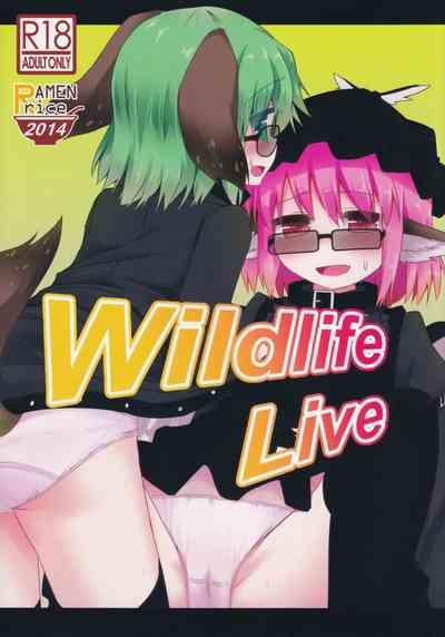 Pussy Eating Wildlife Live Touhou Project Hung 1