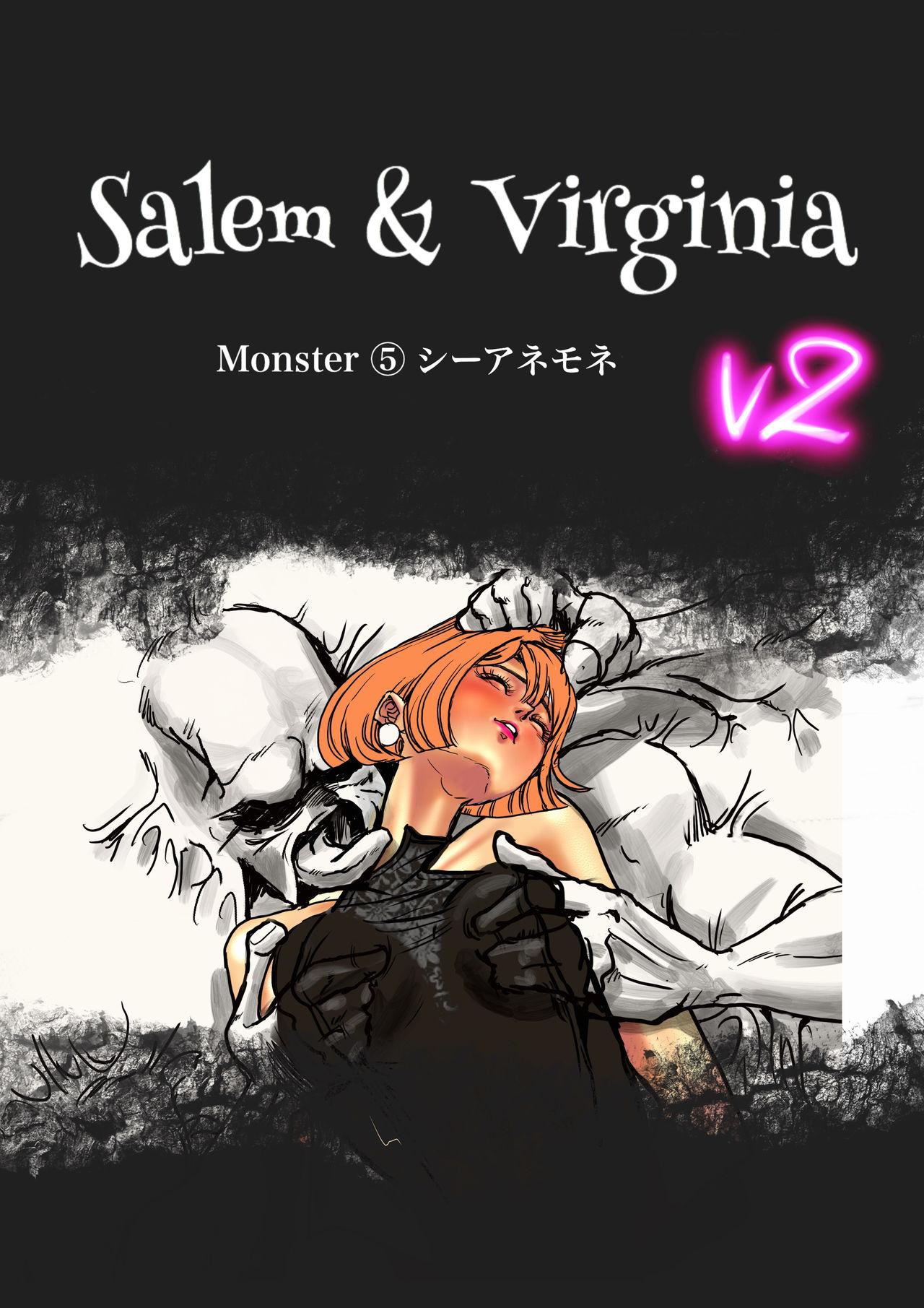 Salem & Virginia 165