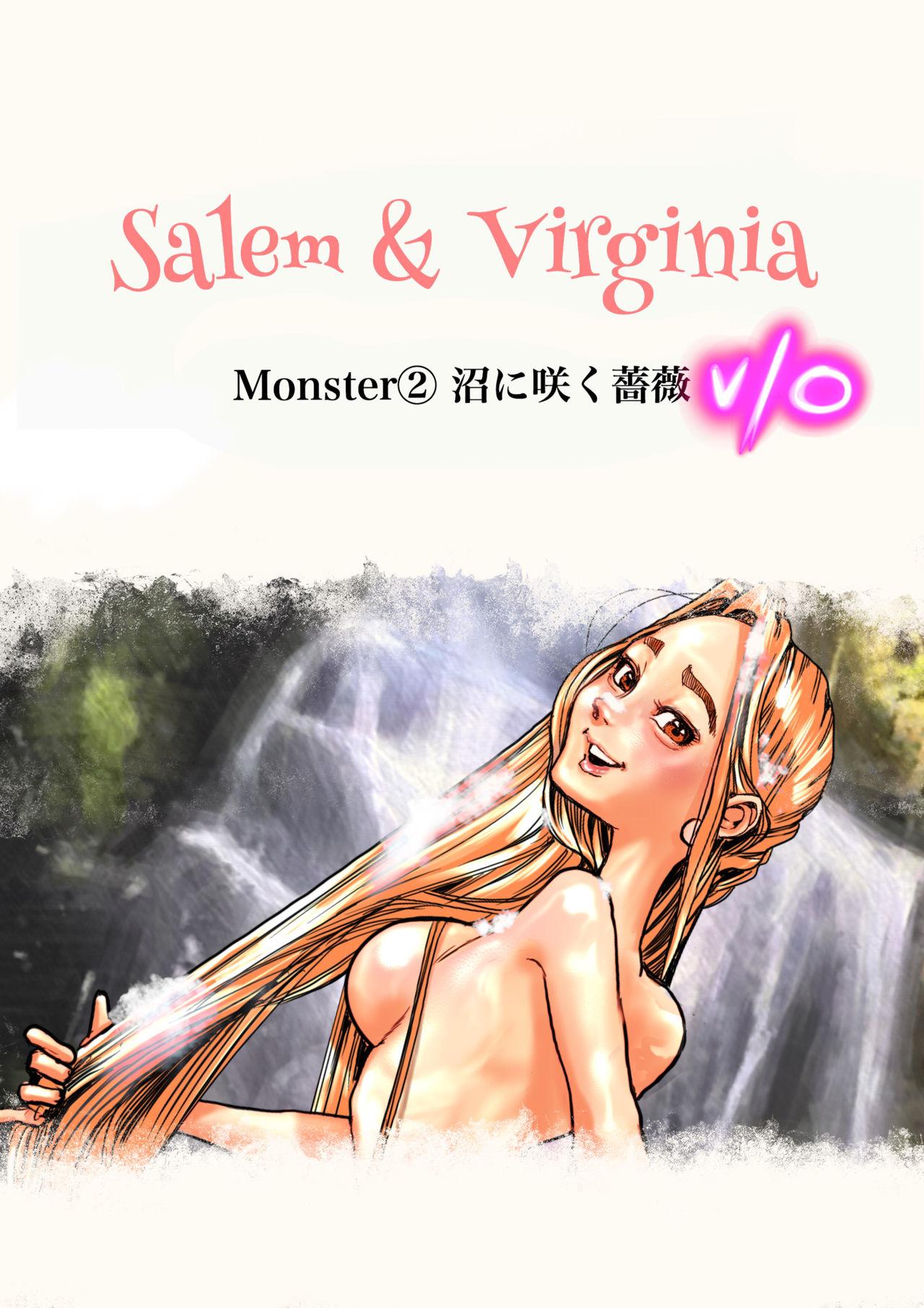 Salem & Virginia 34