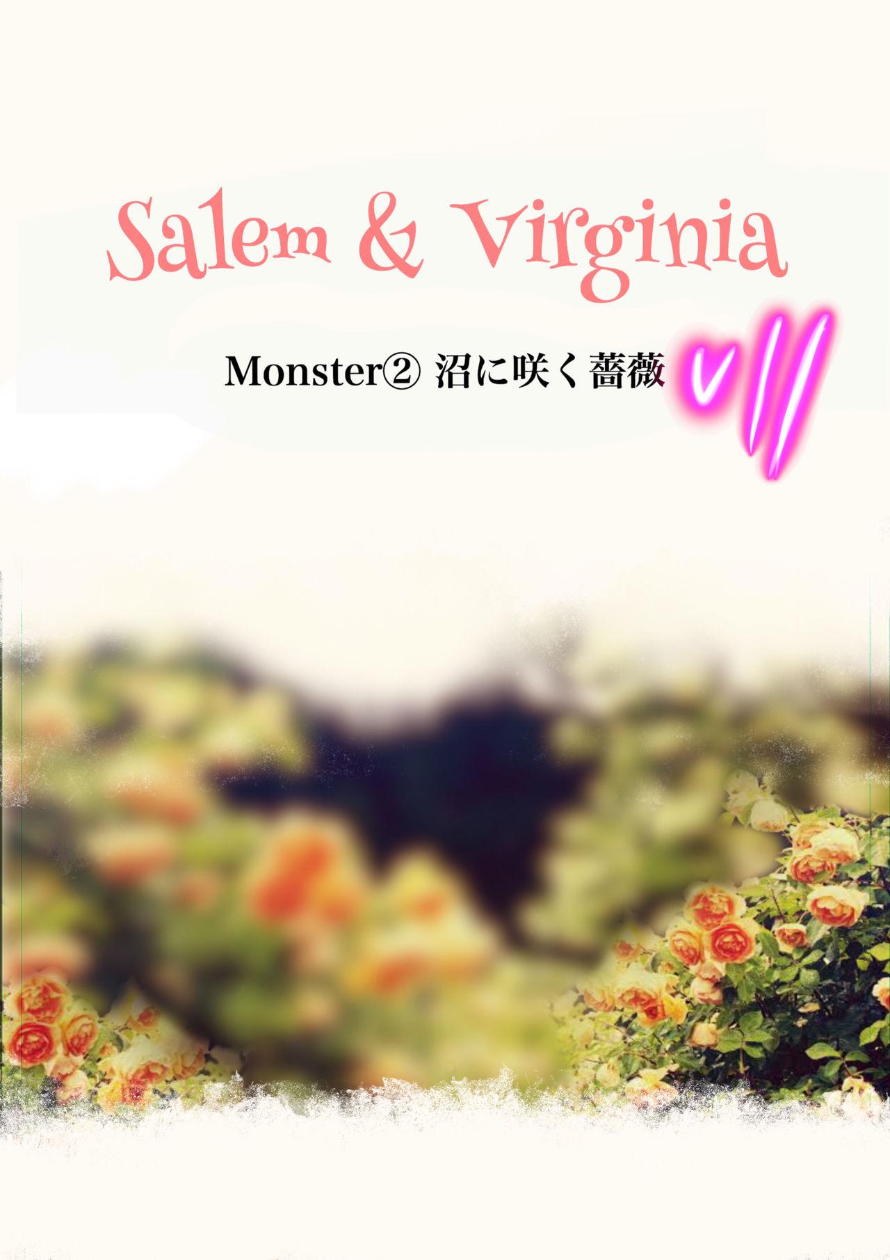 Salem & Virginia 36