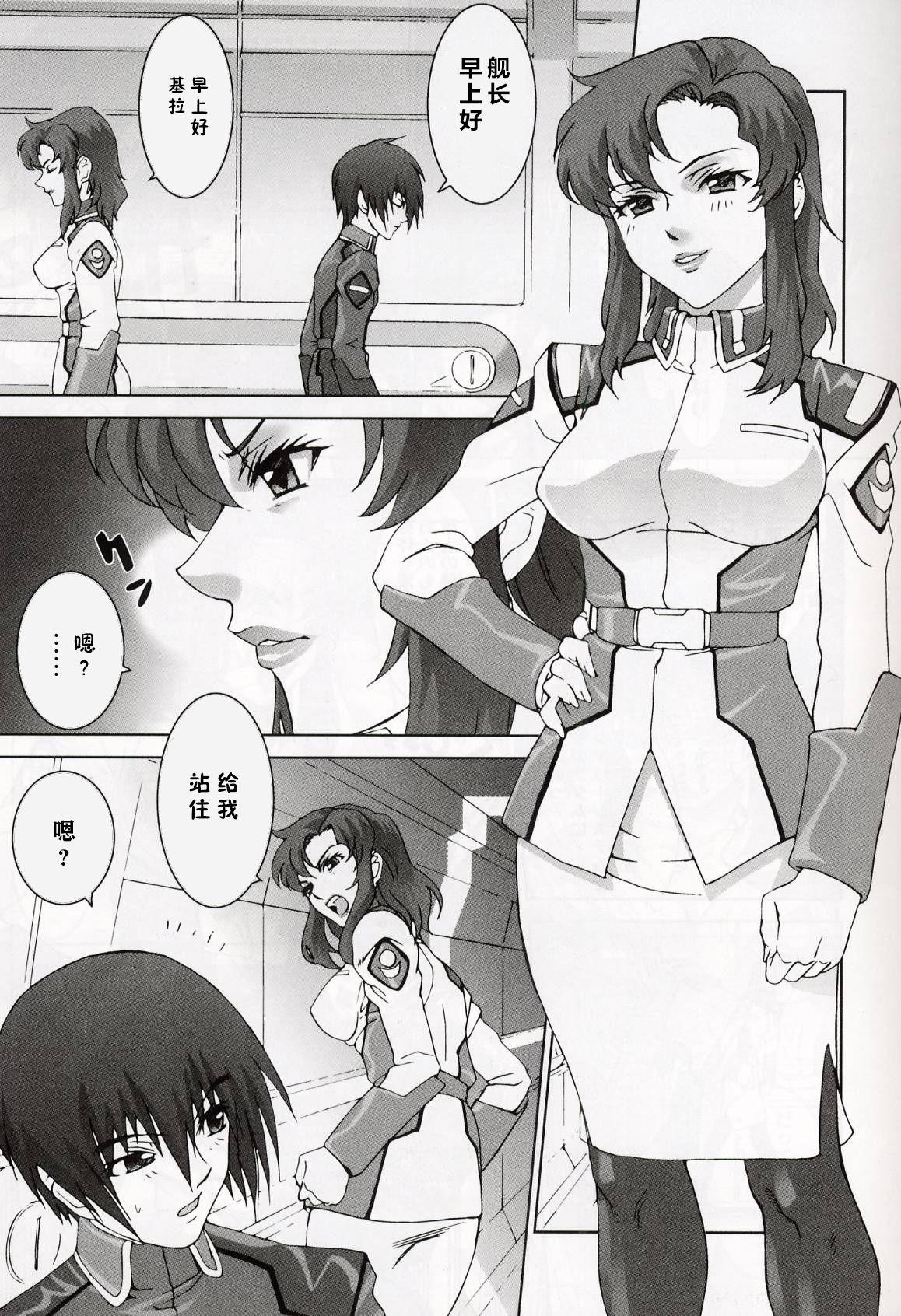 (C64) [Toluene Ittokan (Pierre Norano, Shinagawa Ham)] Ketsu Megaton Seed (Gundam Seed) [Chinese] 【零食汉化组】 20