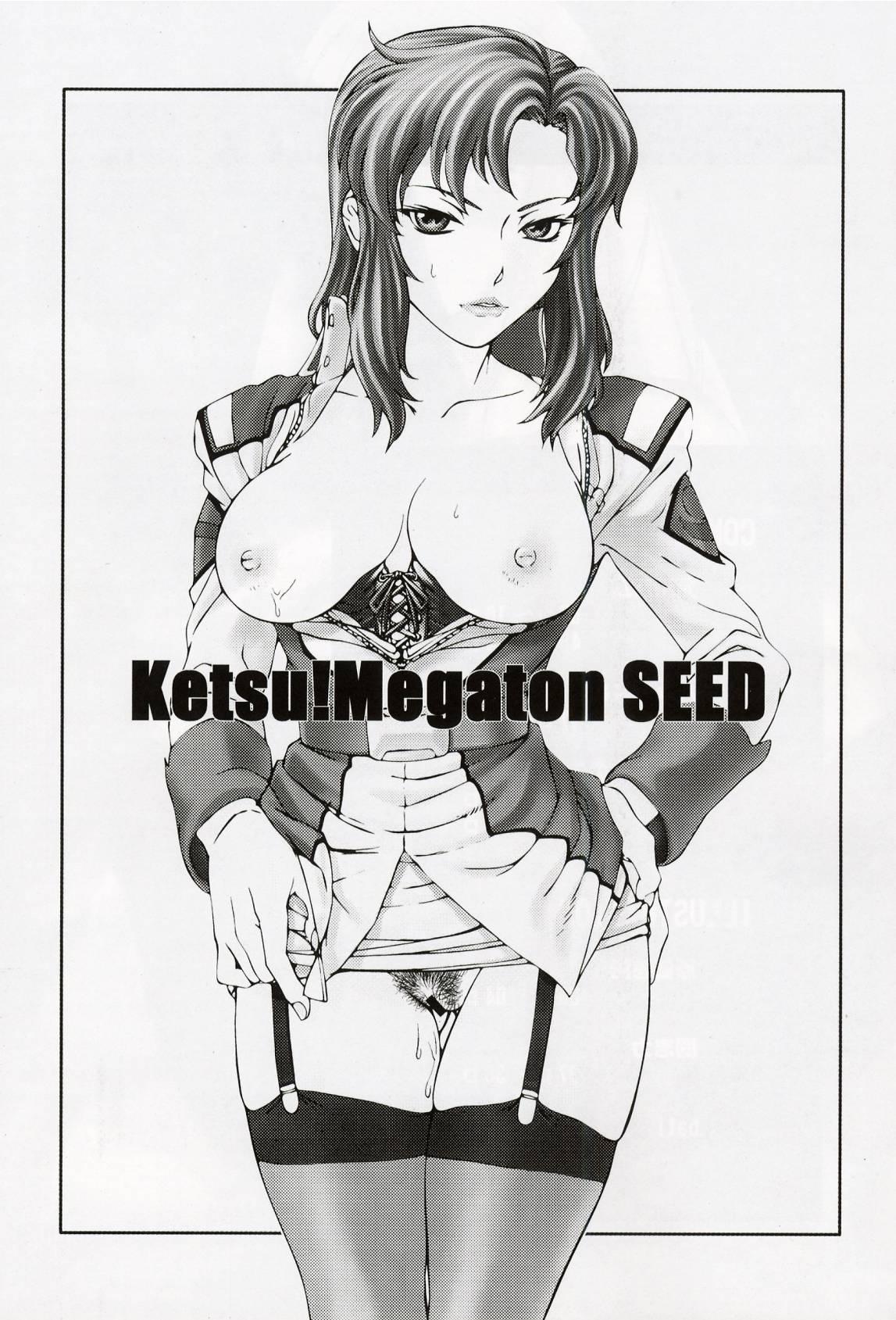 (C64) [Toluene Ittokan (Pierre Norano, Shinagawa Ham)] Ketsu Megaton Seed (Gundam Seed) [Chinese] 【零食汉化组】 2