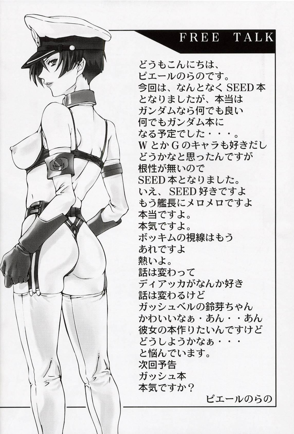 (C64) [Toluene Ittokan (Pierre Norano, Shinagawa Ham)] Ketsu Megaton Seed (Gundam Seed) [Chinese] 【零食汉化组】 41