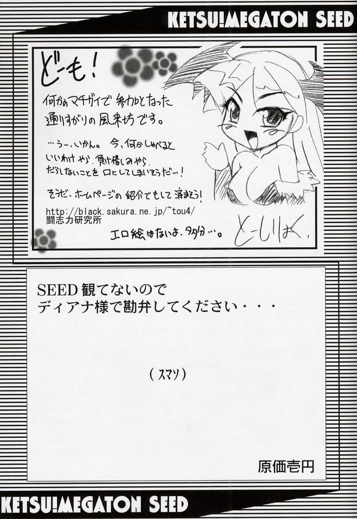 (C64) [Toluene Ittokan (Pierre Norano, Shinagawa Ham)] Ketsu Megaton Seed (Gundam Seed) [Chinese] 【零食汉化组】 54