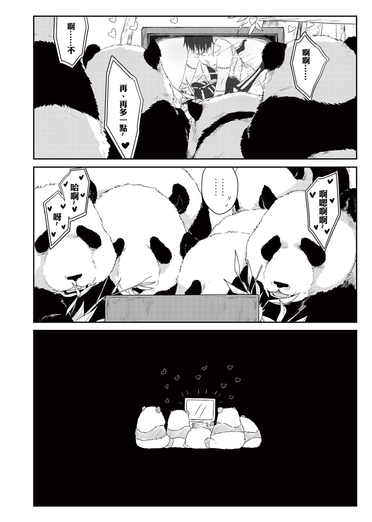 Panda Teaching 23