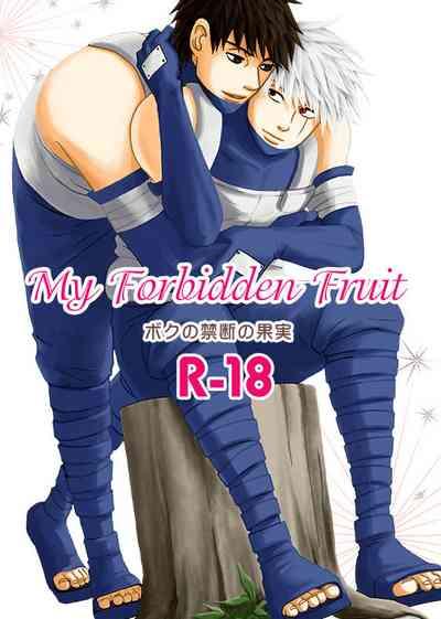 Boku no Kindan no Kajitsu - My Forbidden Fruit 1