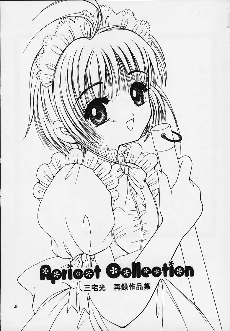 Rough Porn Apricot Collection - Cardcaptor sakura X - Page 2