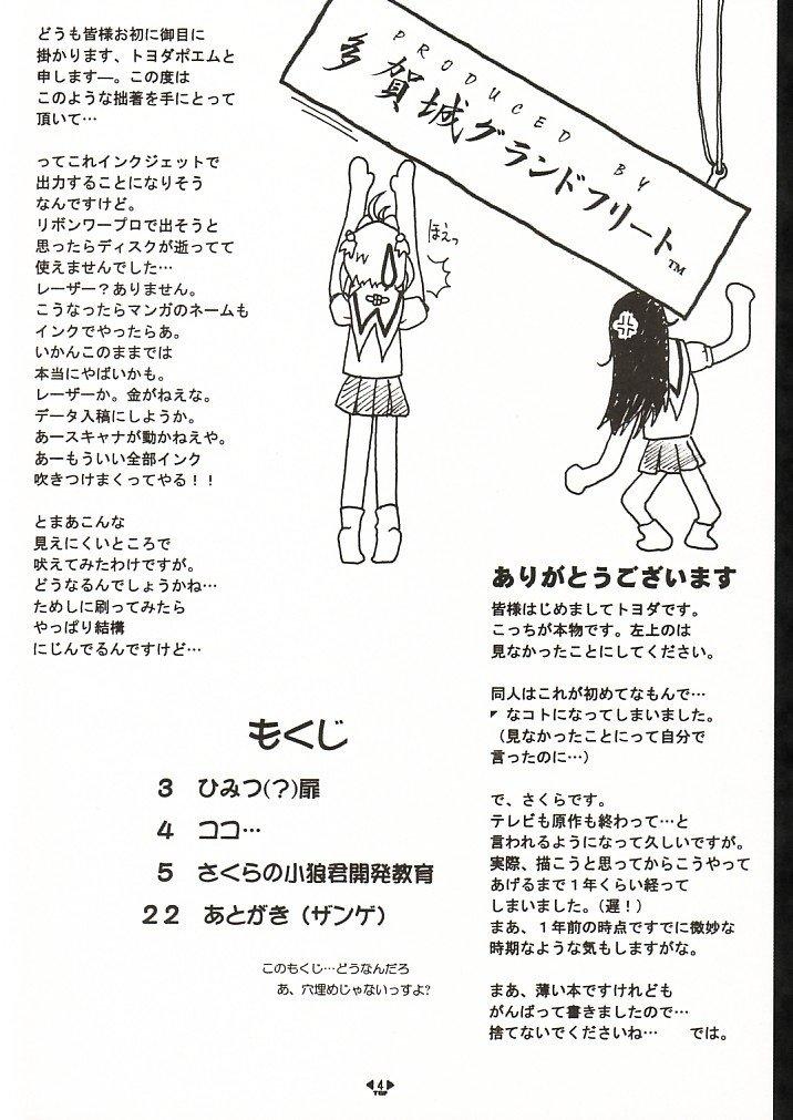 Doggie Style Porn HOPE - Cardcaptor sakura Athletic - Page 3
