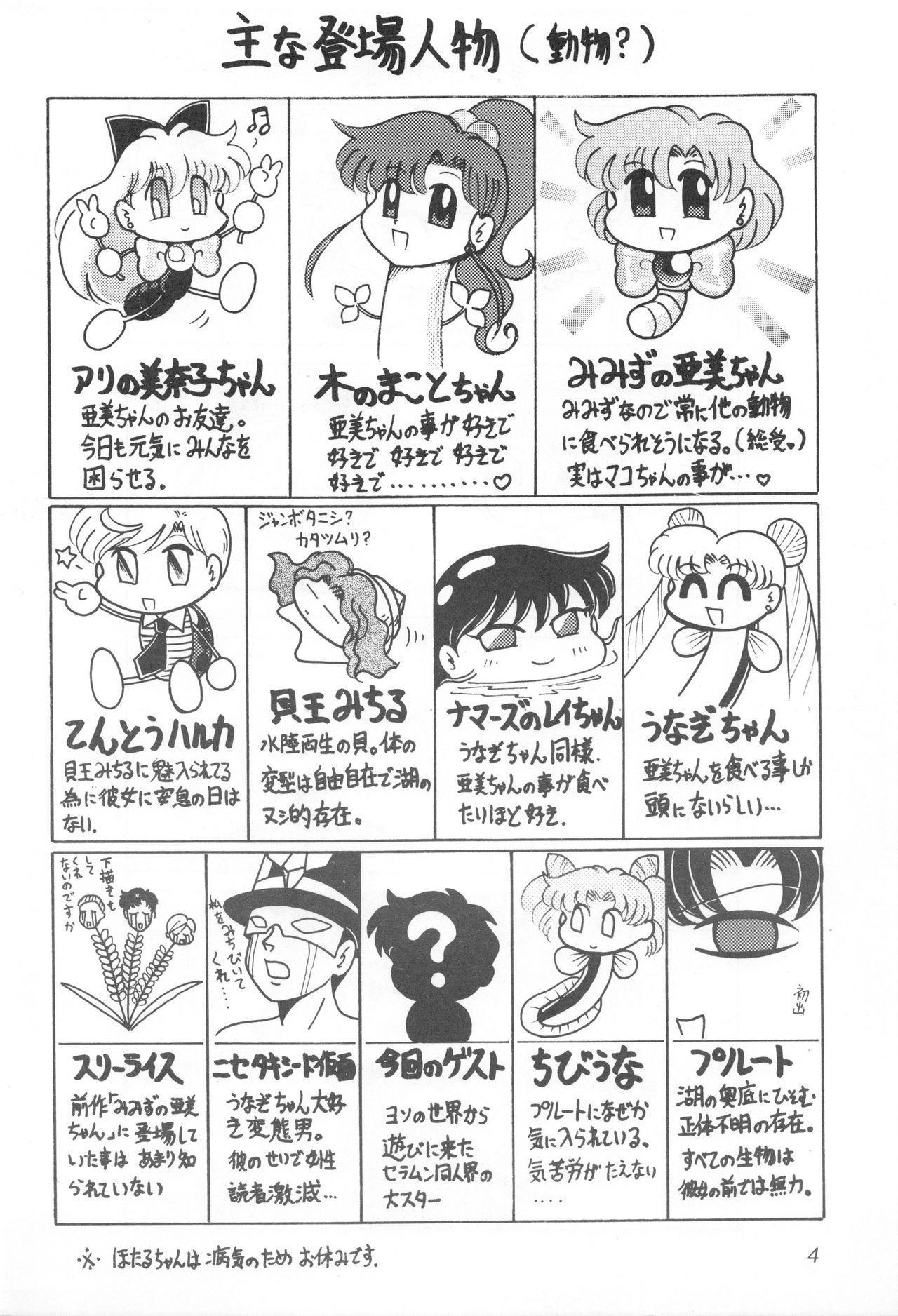 Dick Sucking Mimizu no Ami-chan Vol. 2 - Sailor moon Facebook - Page 3