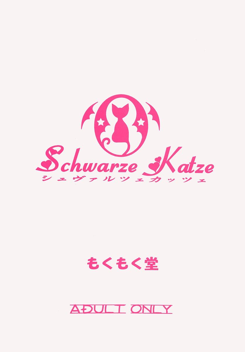 Nudist Schwarze Katze - Yakitate japan Pita ten Wank - Page 30