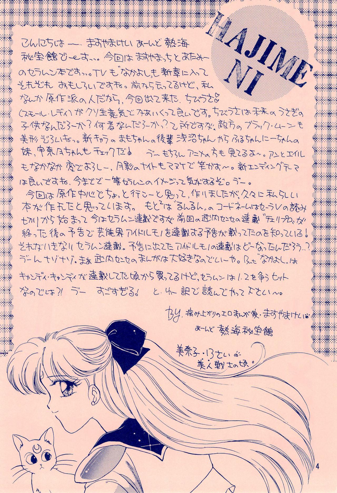 Indian Sex Codename wa Sailor XX R - Sailor moon Swallow - Page 4