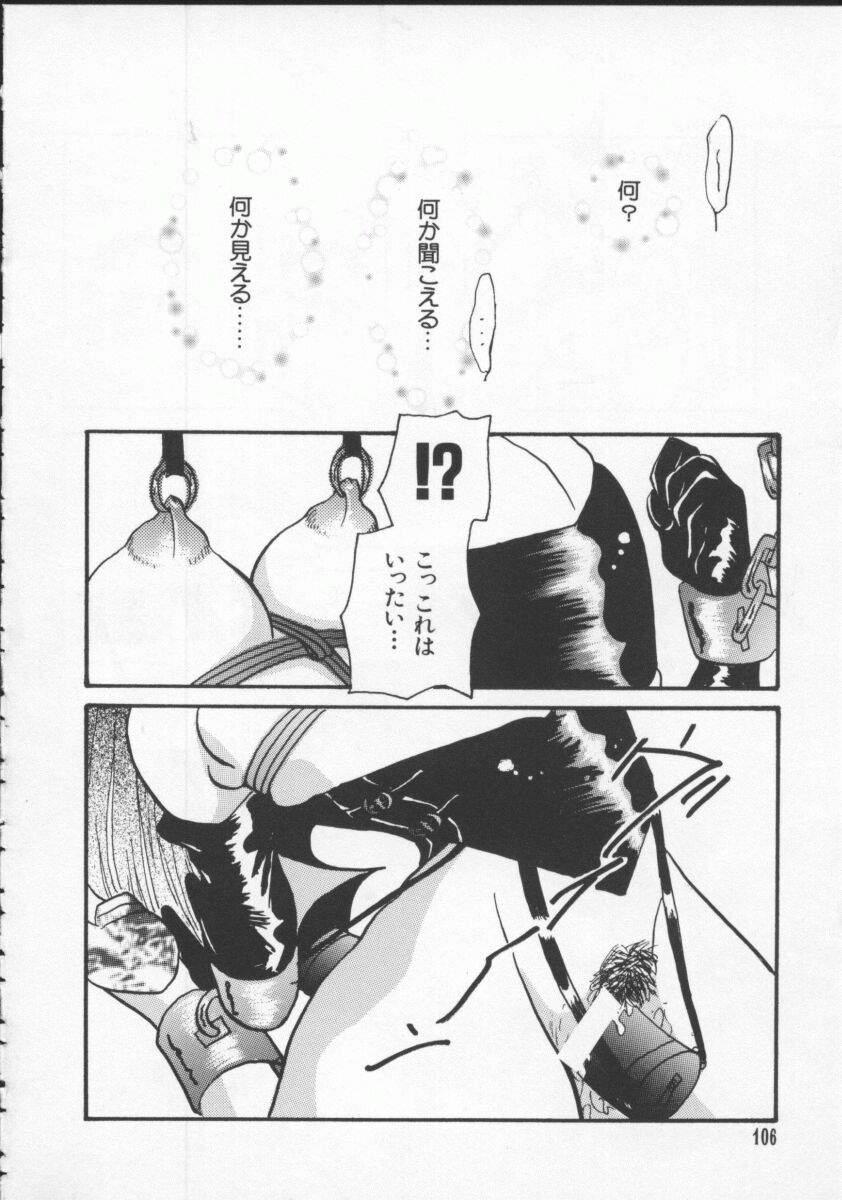 Dennou Butou Musume Vol 5 106