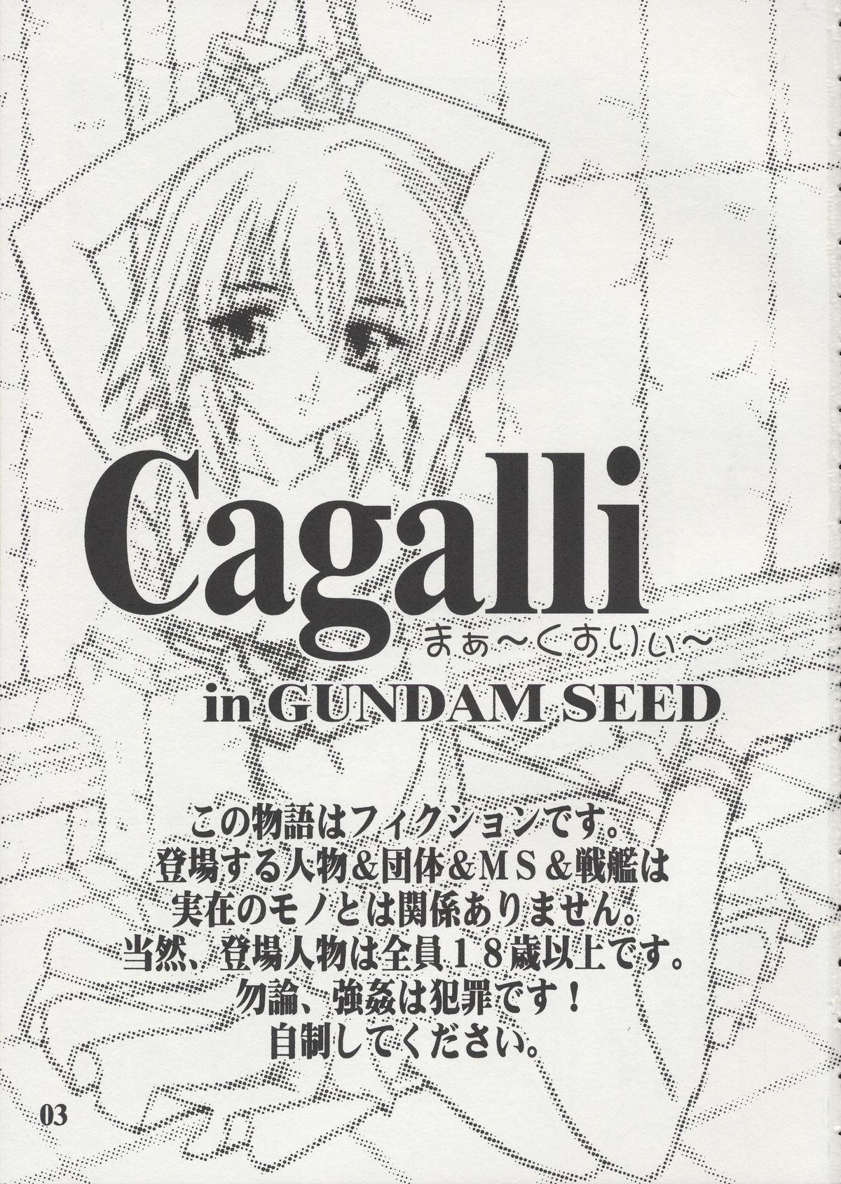 Shemale Sex Cagalli Mark Three | Cagalli Ma Ku Suri - Gundam seed Ex Girlfriends - Page 2