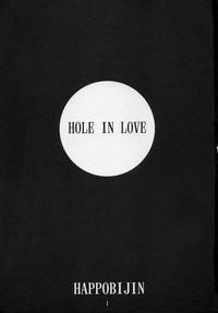 Hole In Love 2