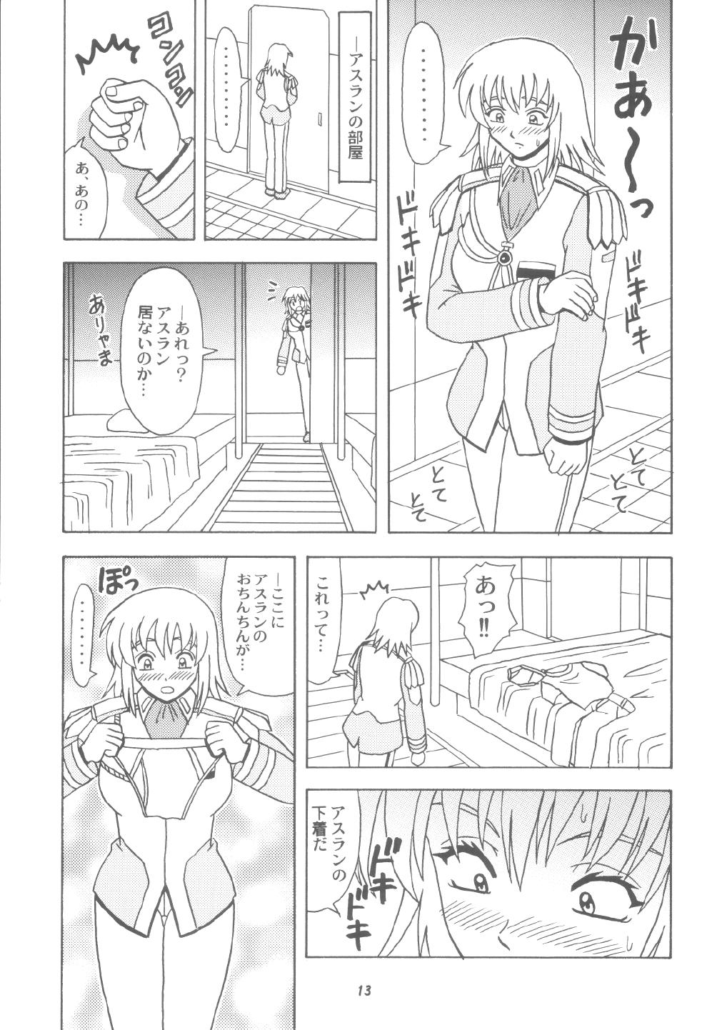 Tiny Girl Daten No Hanazono 6 - Gundam seed Gay Longhair - Page 13